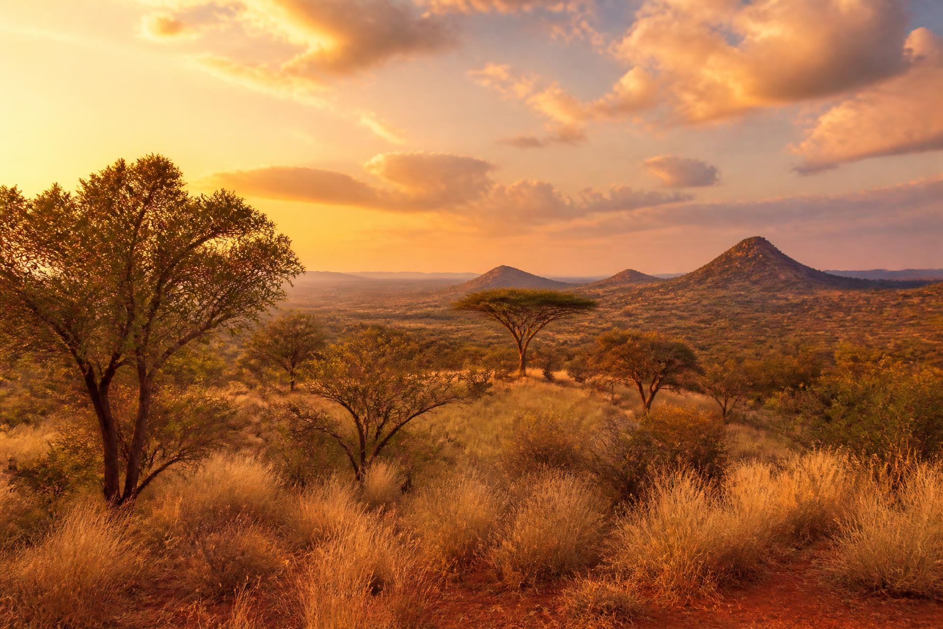 Sunlit lawns and bushveld hills at Gold Valley Estate in the Mpumalanga Lowveld